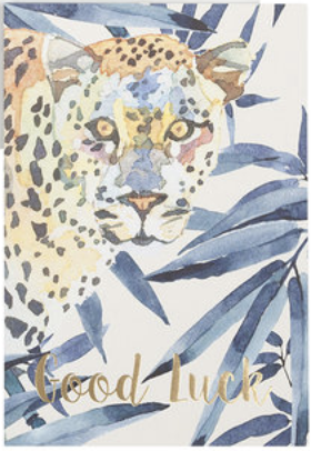 Wenskaartje Hide & Seek Good Luck - Creative Lab Amsterdam-1