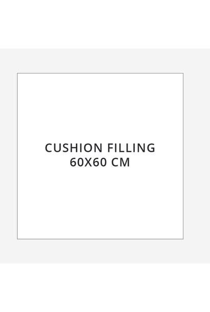 Binnenkussen Veren 60 X 60