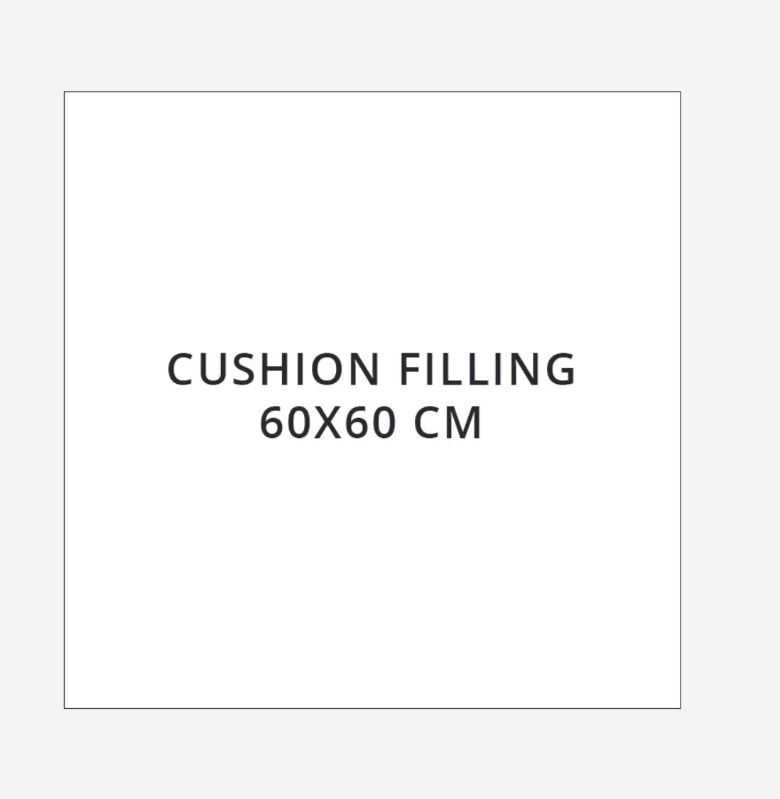 Binnenkussen Veren 60 X 60-1