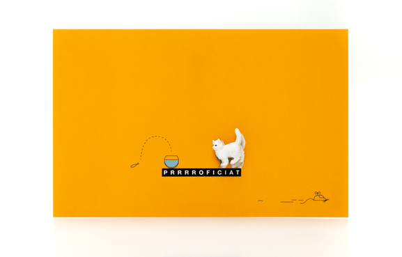 Greeting Card Congratulations - Leuke Kaartjes-1