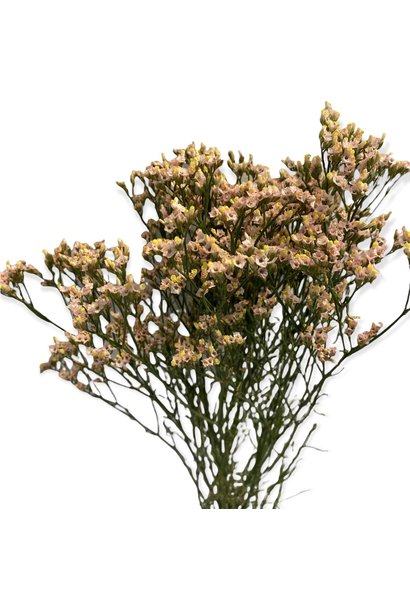 Flowerbar - Limonium Pink Fine