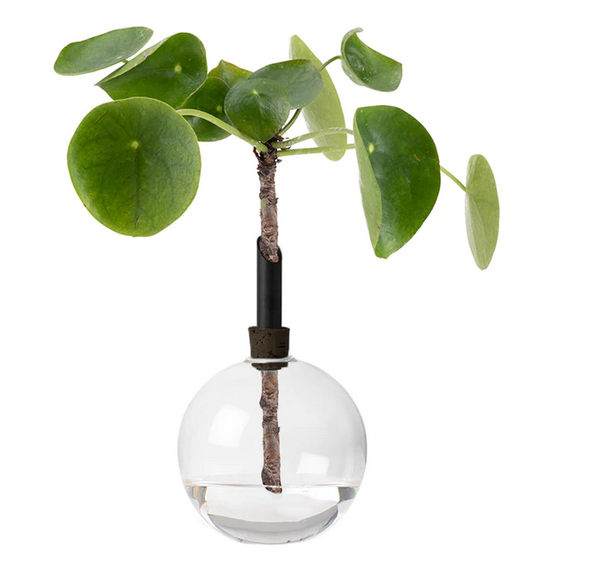 Glazen Vaasje Bol Medium Zwart - Scandinavia Form-1