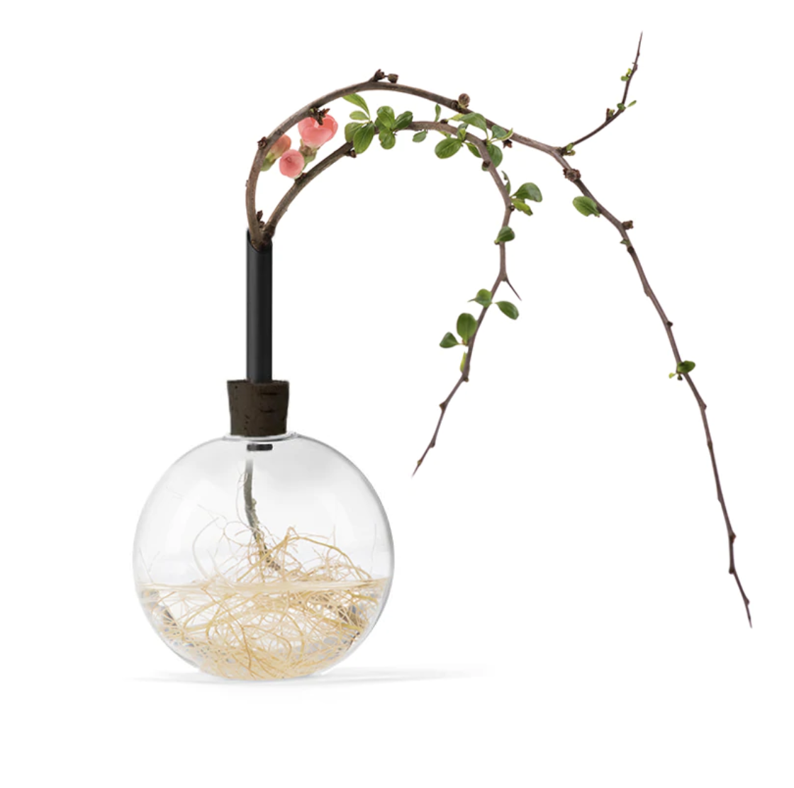 Glass Vase Sphere Small - Black - Scandinavia Form-1