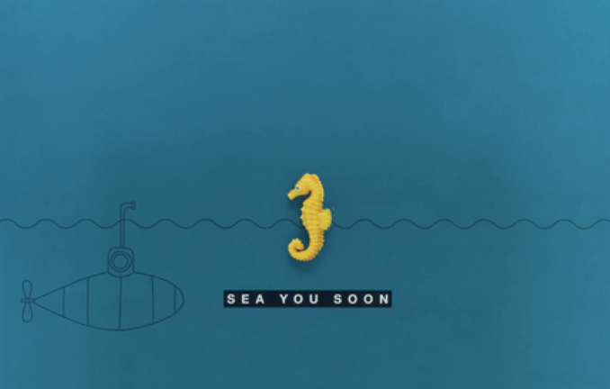 Greeting Card Sea You Soon - Leuke Kaartjes-1