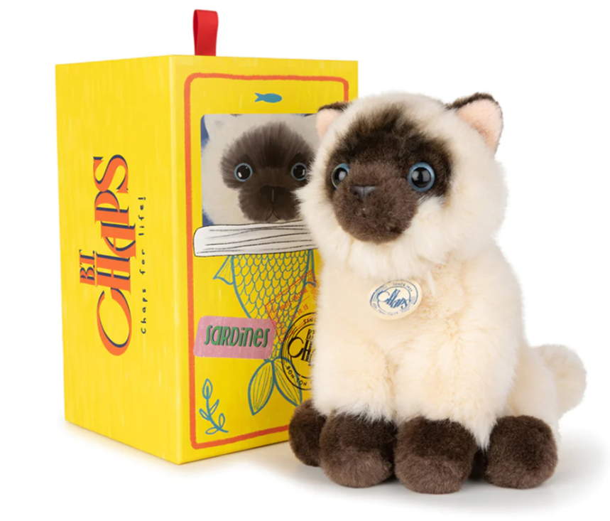 Eddie The Siamese in giftbox - B.T. Chaps-1