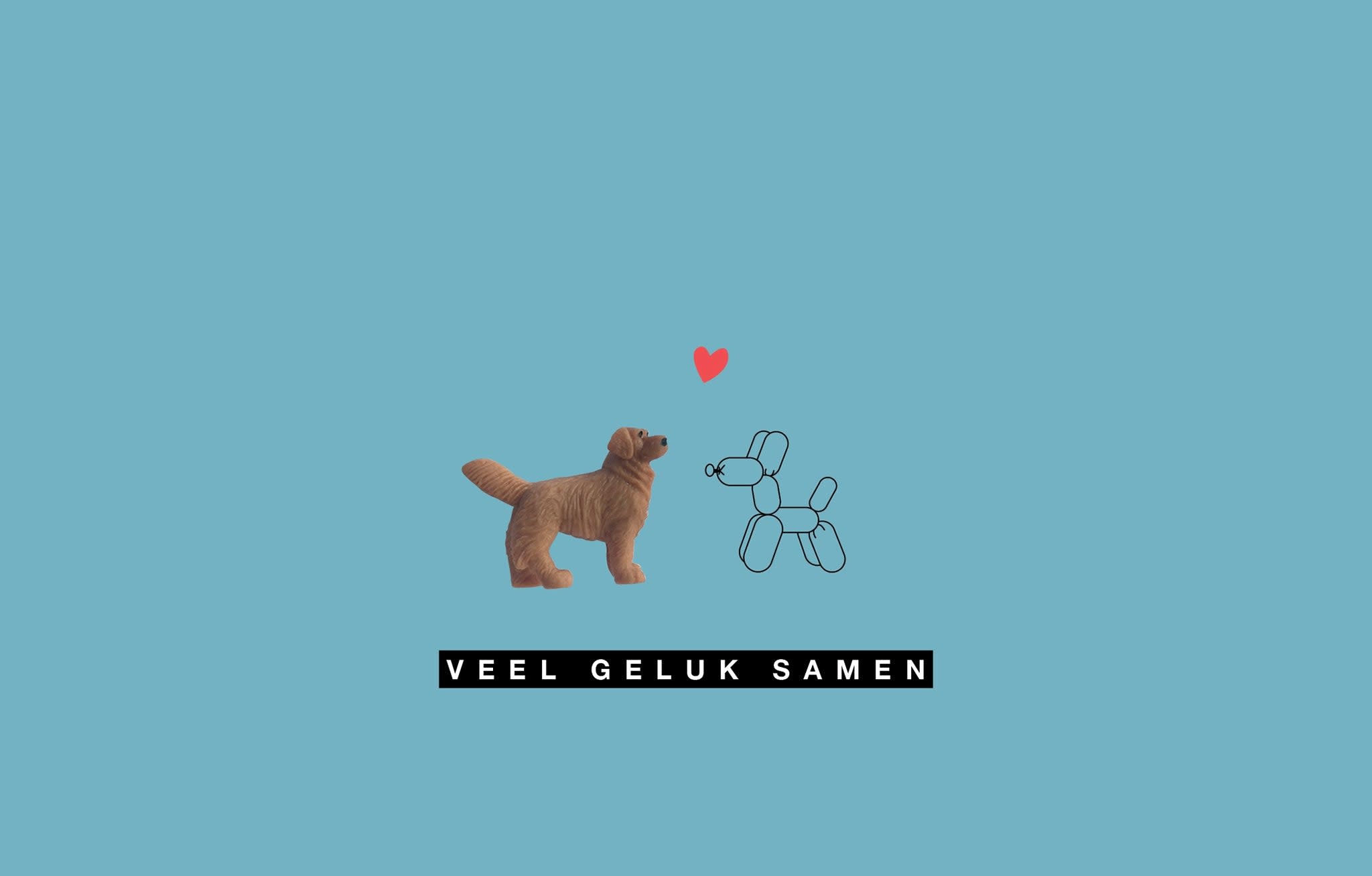 Kaartje Veel Geluk Samen - leuke kaartjes-1