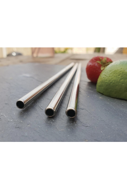 Reusable straw silver short 1st