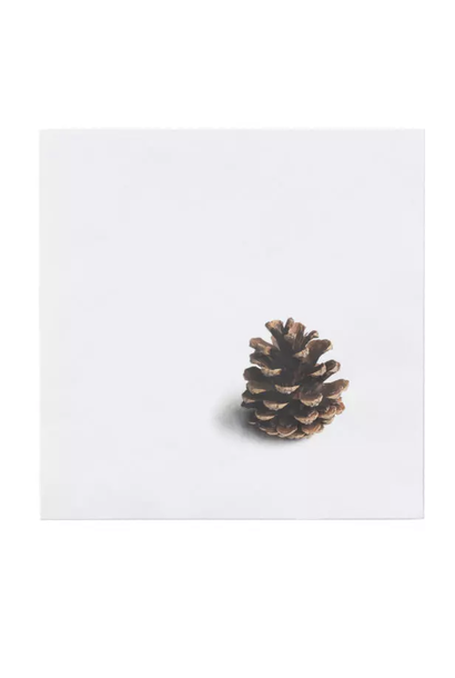Napkins Pine Cone