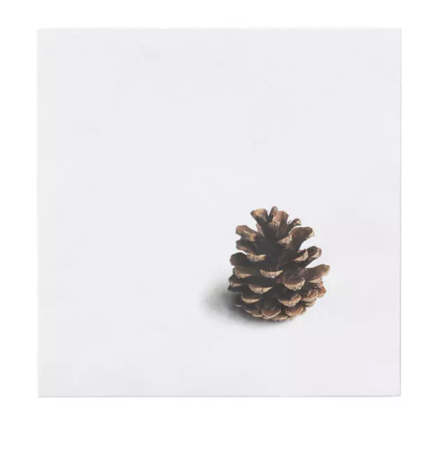 Servetten Dennenappel - Sögne-1