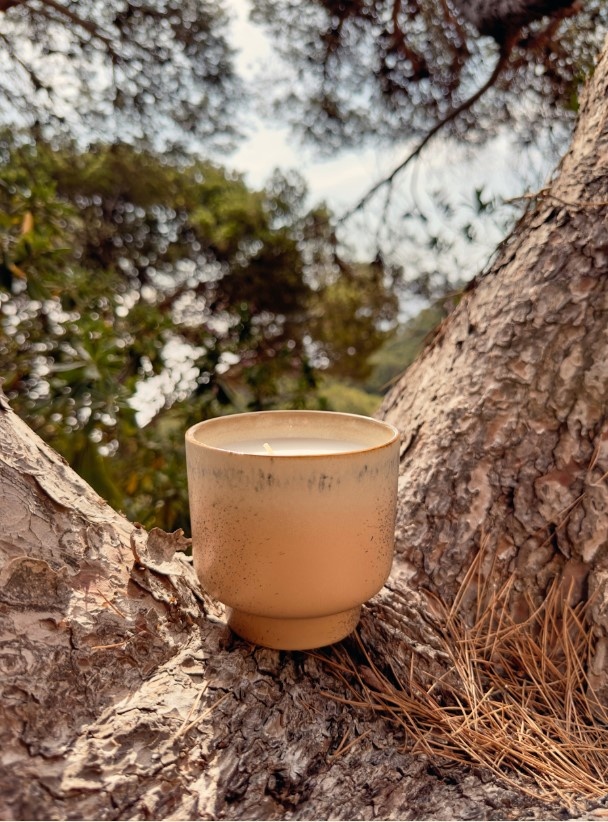 Geurkaars Vancouver-2