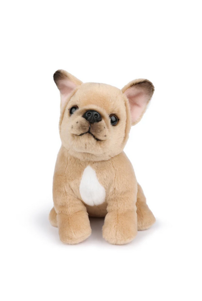 Philippe The French Bulldog
