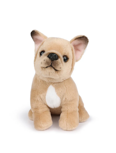 Philippe The French Bulldog - B.T. Chaps-1