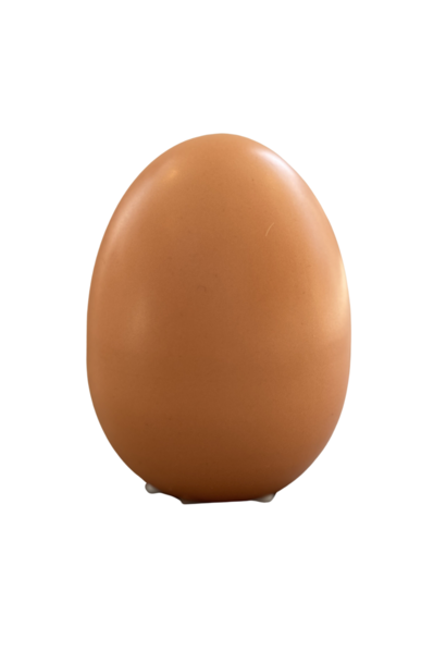 Copy of Paasei Blauw