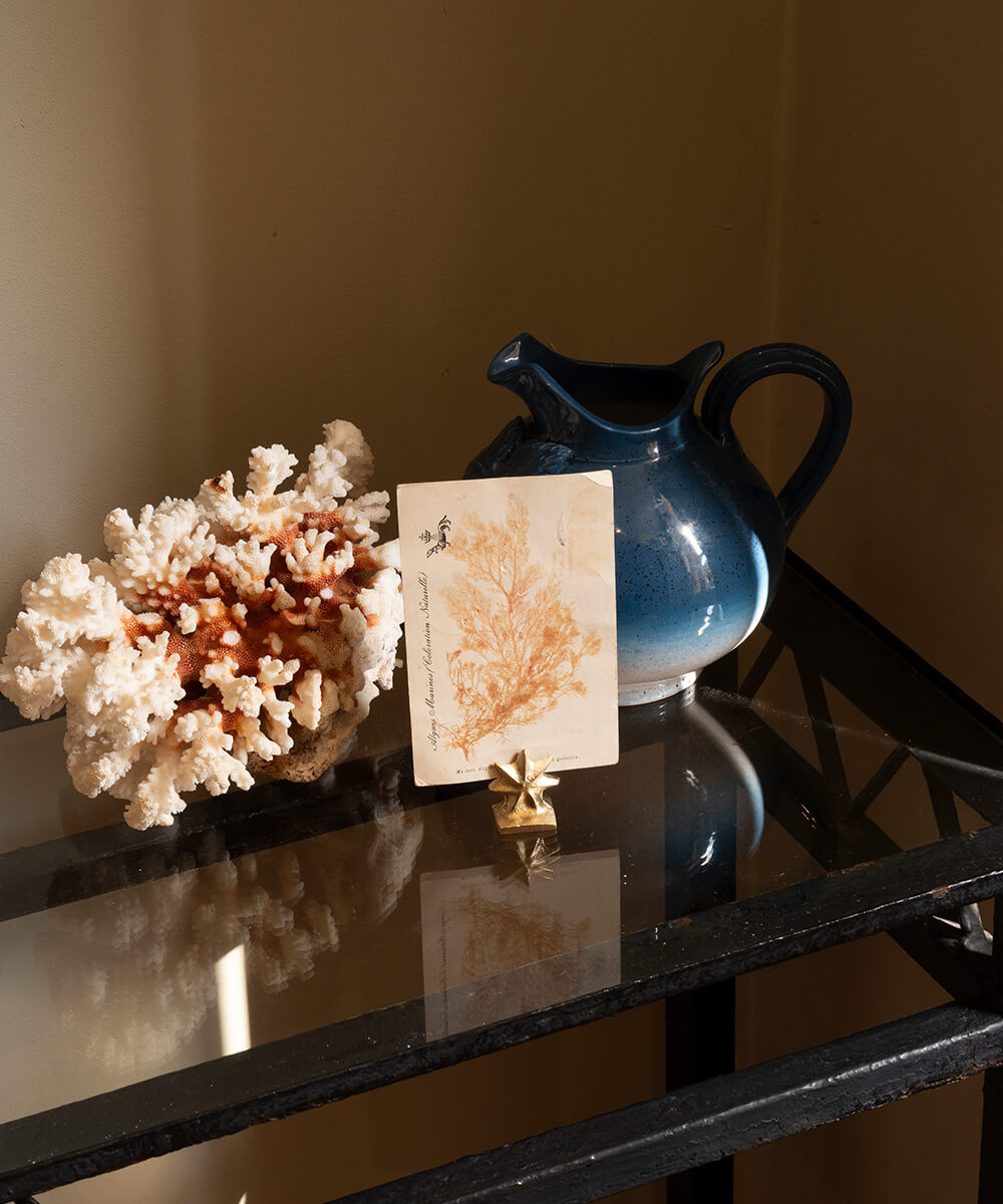 Card Holder Star Gold - Doing Goods-3