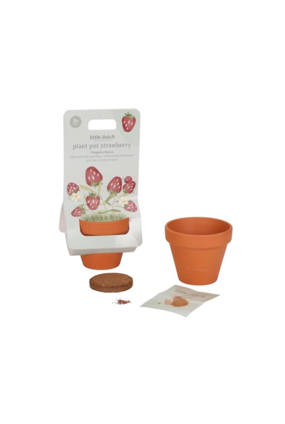 Plant Pot - Strawberry