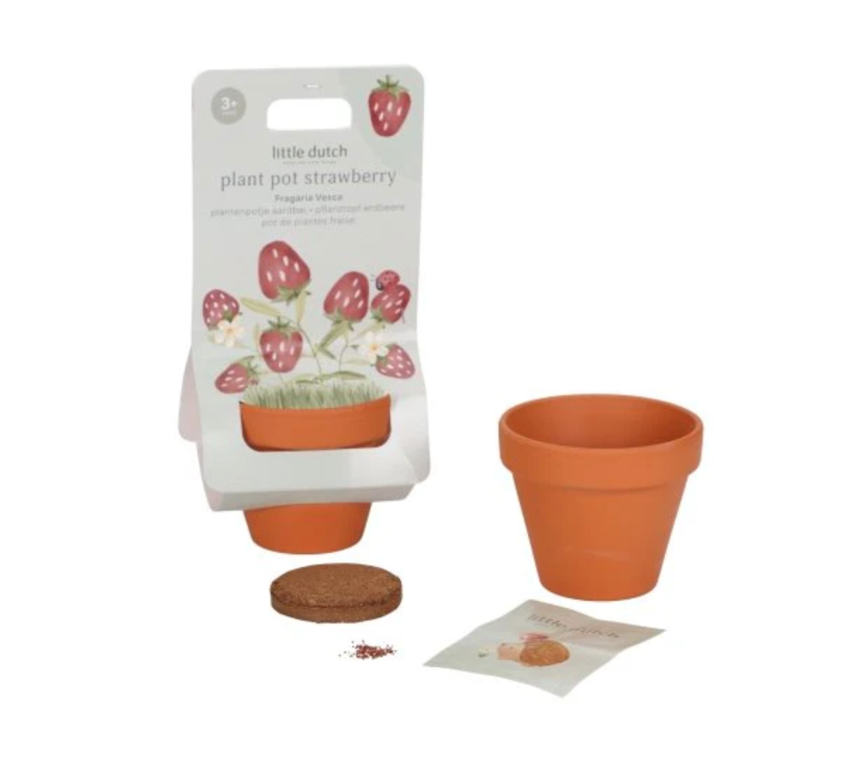 Plantenpotje - Aardbei - Little Dutch-1