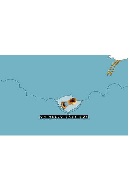 Copy of Kaartje -  Hello Baby Girl