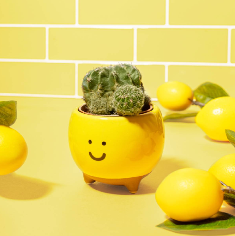 Planter Smiley Yellow - Sass & Belle-2