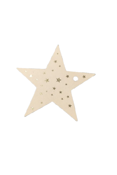 Gift Tag Star