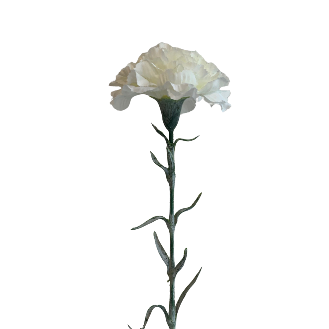 Zijdenbloem Anjer Wit-1