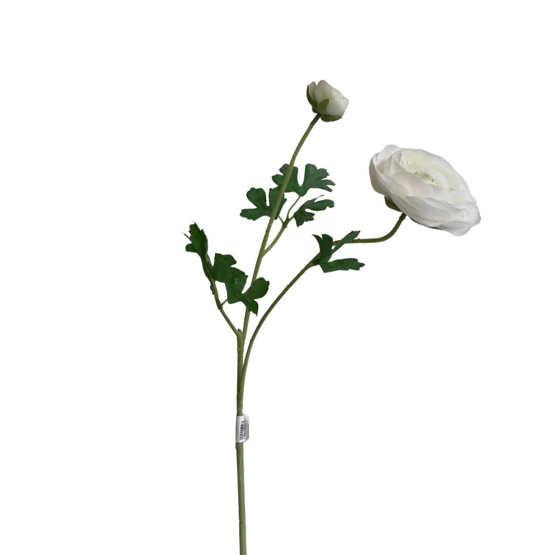 Zijdenbloem Ranonkel Wit-1