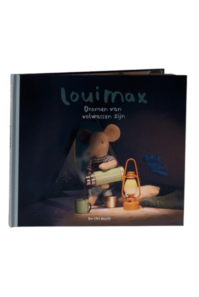 Boek Dromen Van Volwassen Zijn