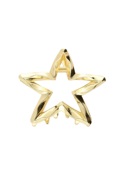 Gouden Haarclip Ster