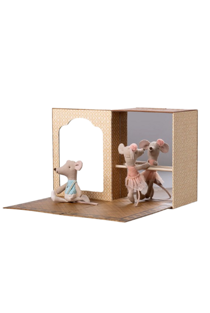 Ballet Muis In Dansstudio