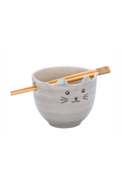 Noedelkom Met Stokjes Kat