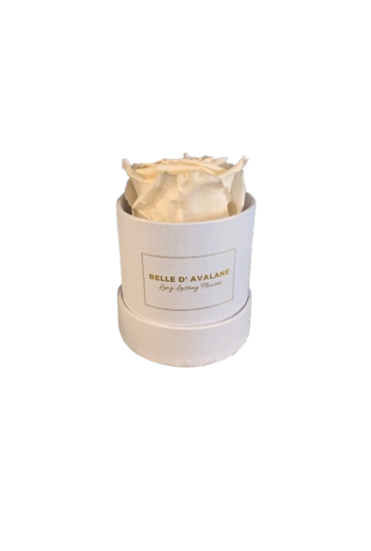 Long Lasting Flowers Champagne