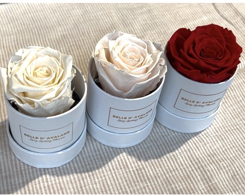 Long Lasting Flowers Rood - Belle d'Avalane-2