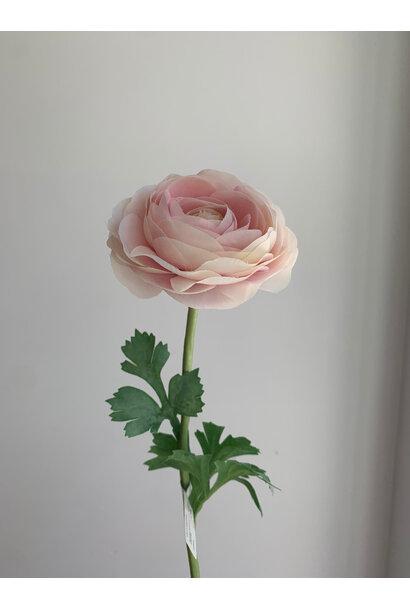 Silk Flower Ranunculus Light Pink