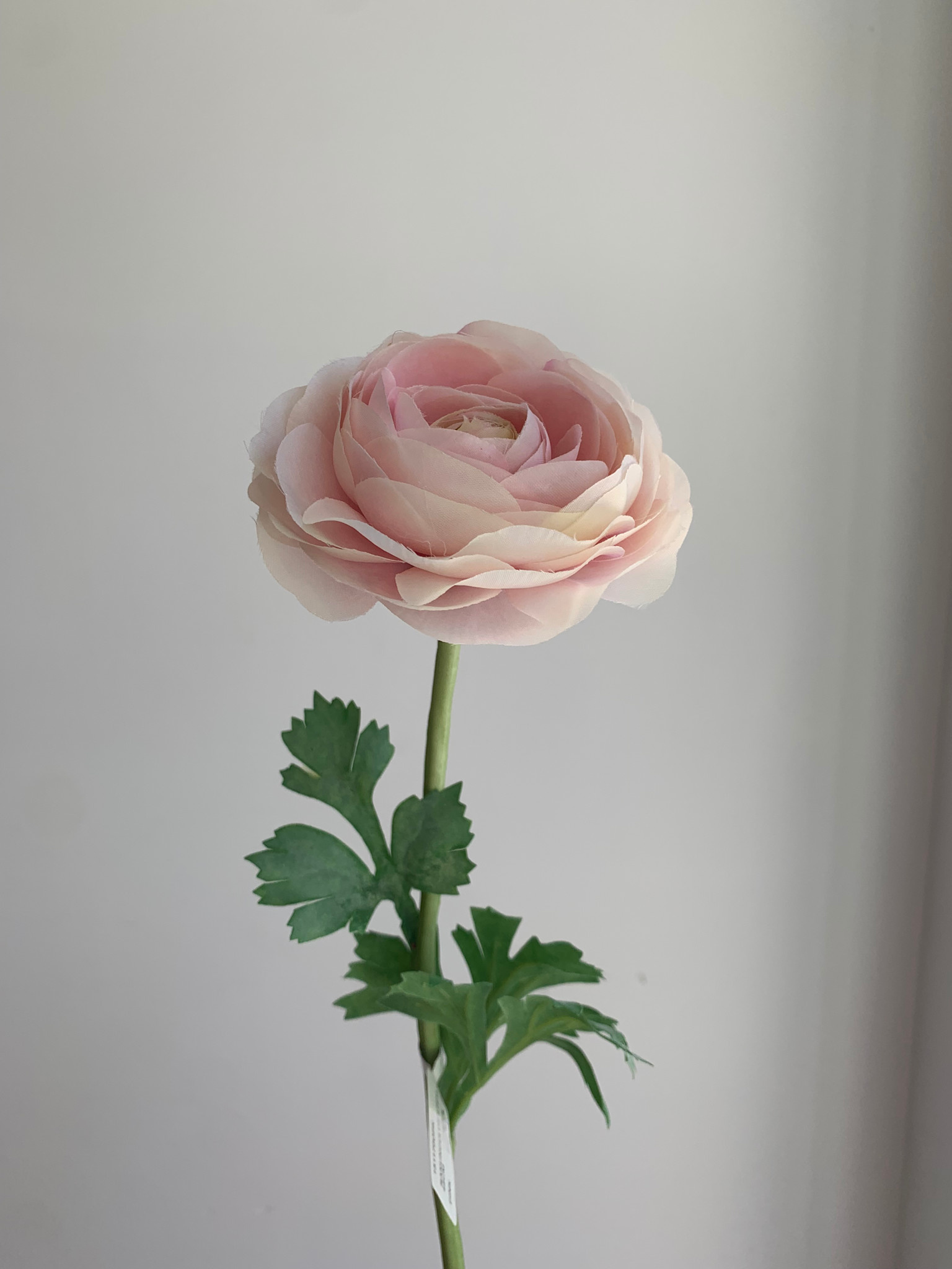 Zijdenbloem Ranonkel Lichtroze - Atelier Olala-1