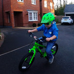 Pavement Bikes 12"- 20"