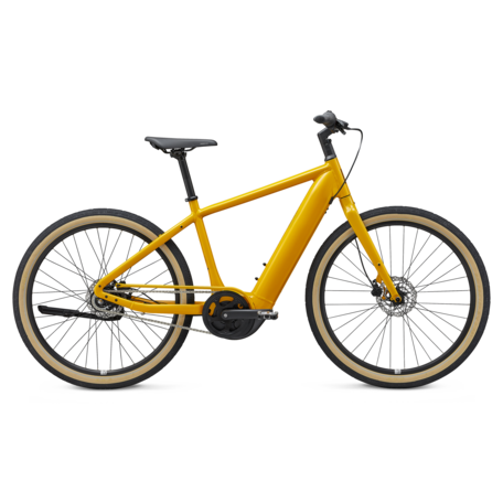 Momentum Feel Good Bicycles