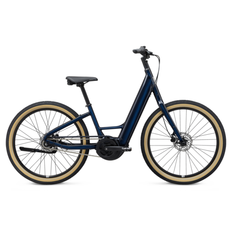 Giant momentum bikes sale