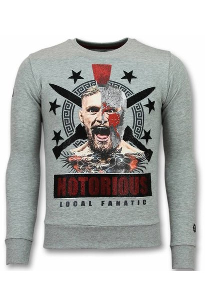 Sudadera Hombre - Notorious Warrior - Gris