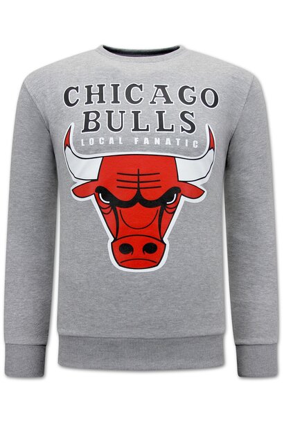Sweatshirt Men - Chicago Bulls - Grey