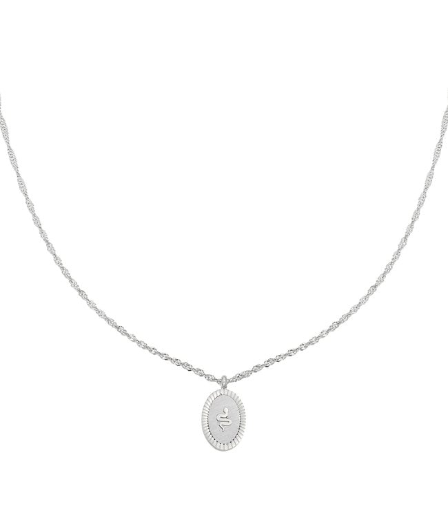 Silver Snake Coin Necklace