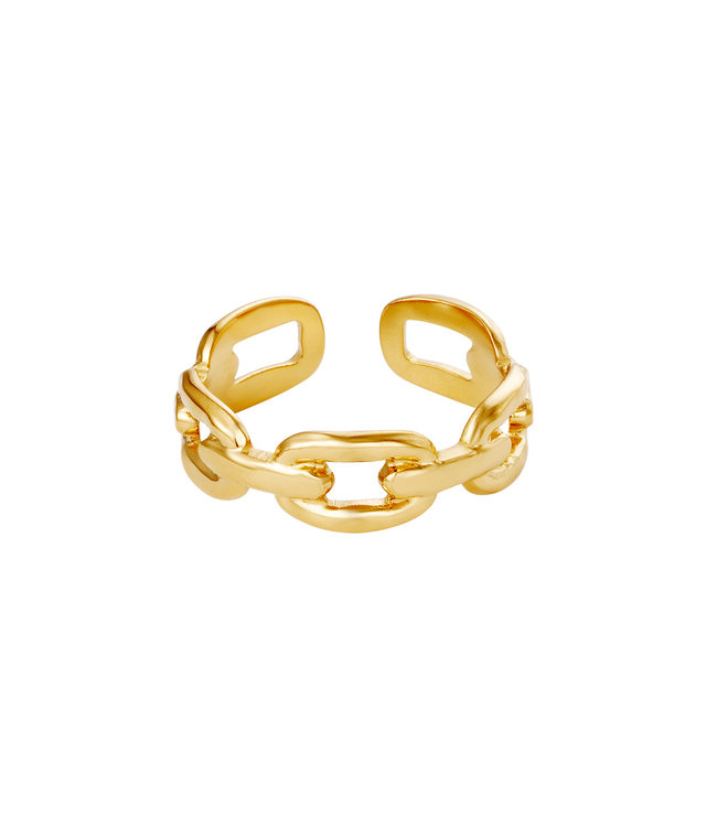 Oval Chain Ring