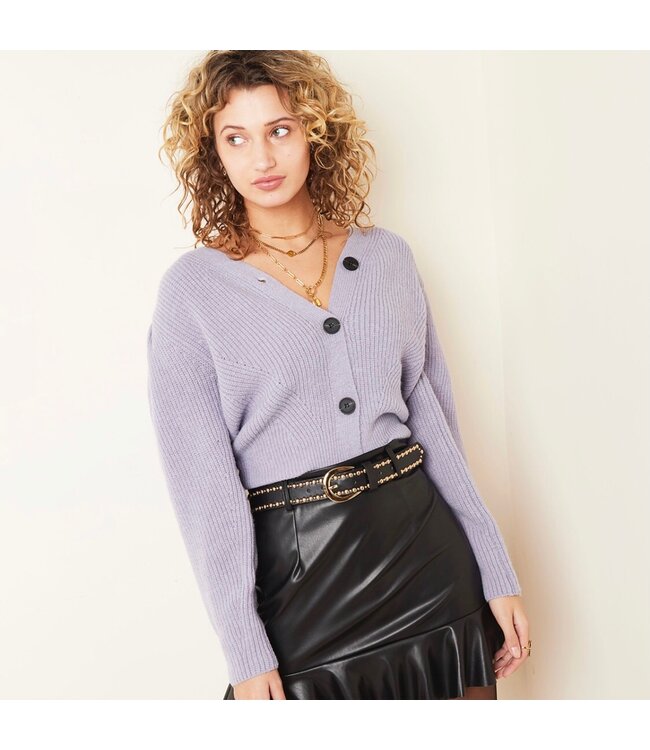 Fabulous Stud Belt / Gold