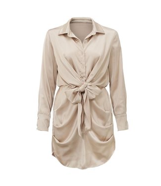Satin Dress / Beige