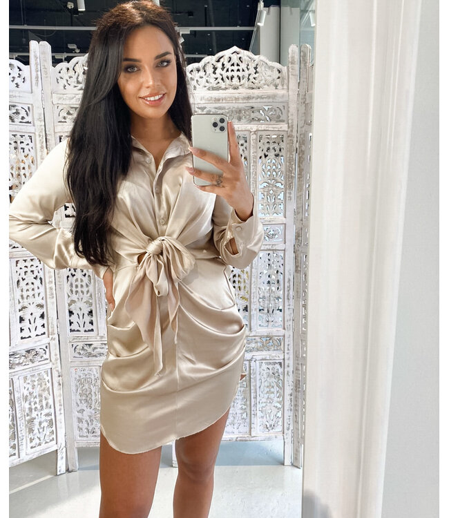 Satin Dress / Beige