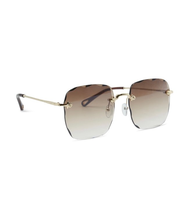 Trendsetter Sunglasses / Brown