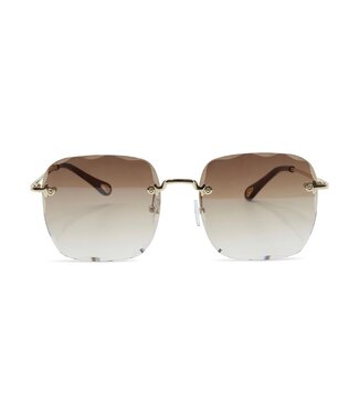 Trendsetter Sunglasses / Brown