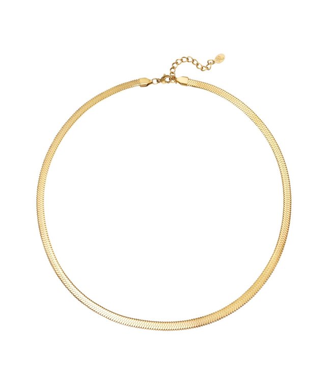 Gold Flat Chain Necklace