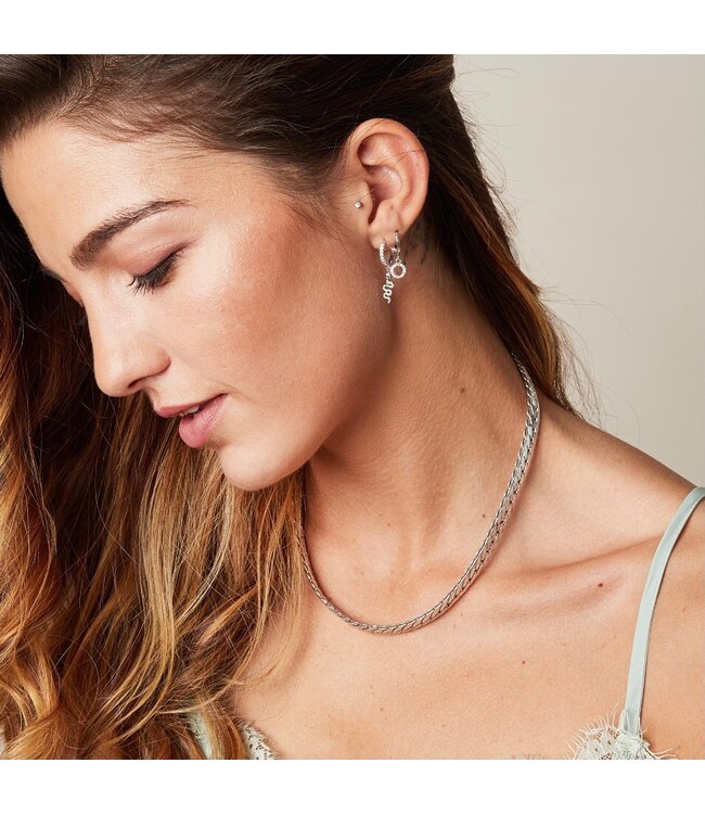 Shiny Snake Earrings