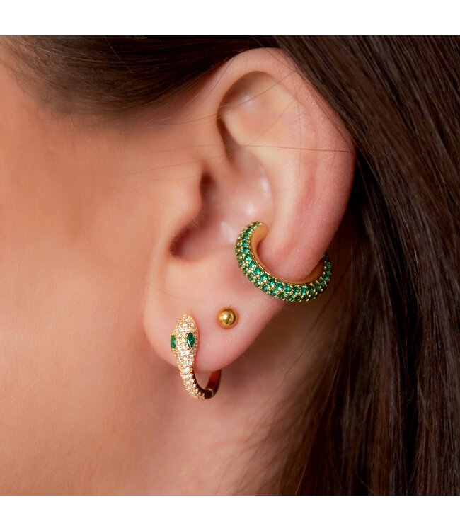 Venomous Snake Earrings
