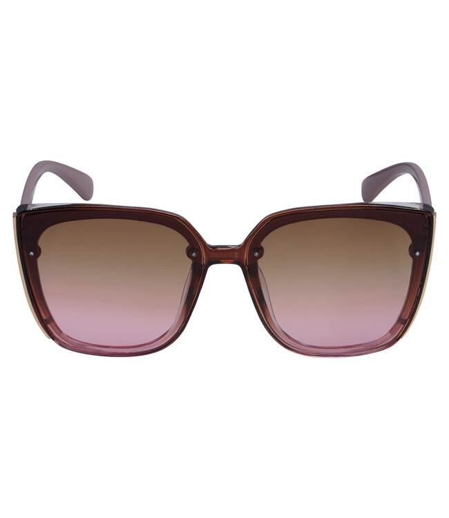 Big Frame Sunglasses