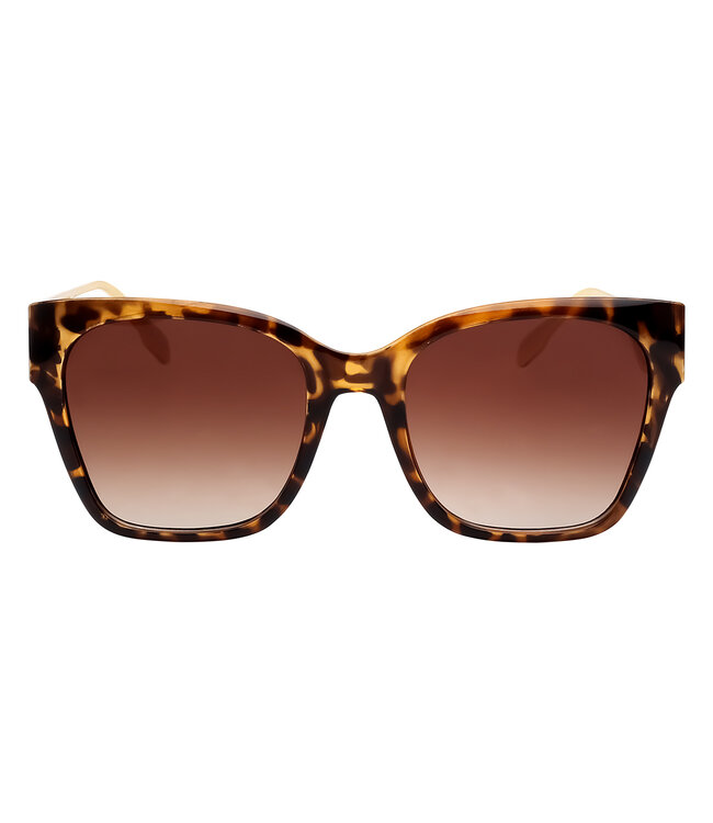 Frame It Sunglasses / Brown